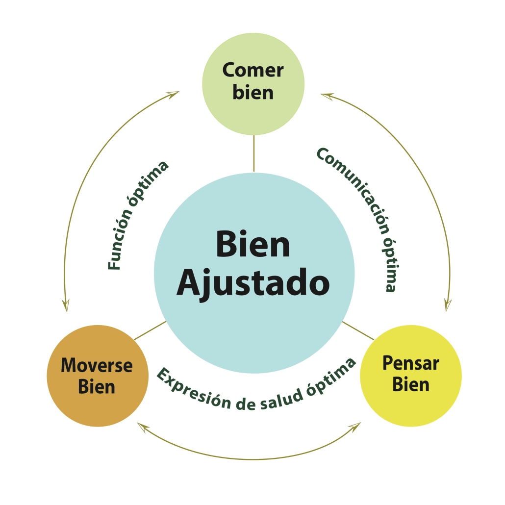 La Quiropráctica Mejora su Salud y Bienestar