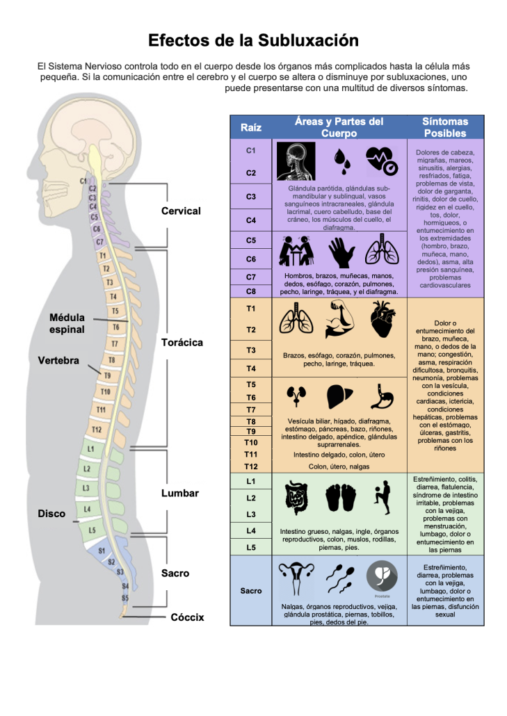 Page 1 side 1 Vertebral Subluxation Nerve Chart Spanish